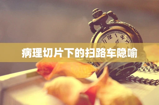 病理切片下的扫路车隐喻