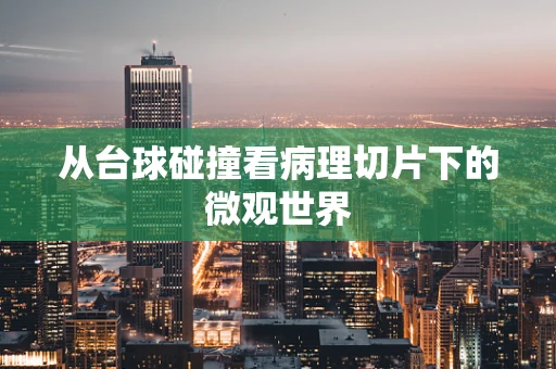 从台球碰撞看病理切片下的微观世界