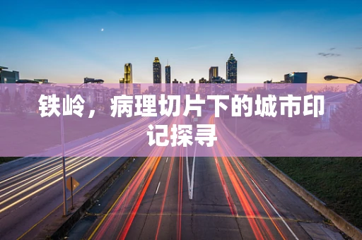 铁岭，病理切片下的城市印记探寻