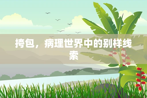 挎包，病理世界中的别样线索