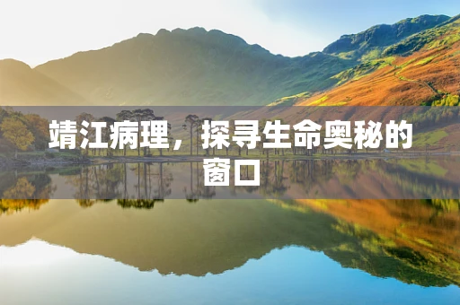 靖江病理，探寻生命奥秘的窗口