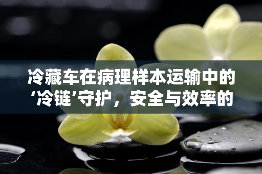 冷藏车在病理样本运输中的‘冷链’守护，安全与效率的平衡点何在？