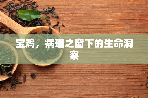 宝鸡，病理之窗下的生命洞察