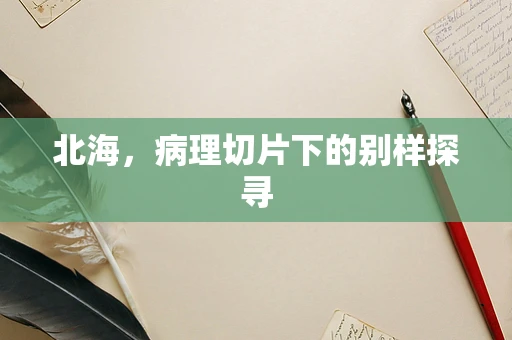 北海，病理切片下的别样探寻