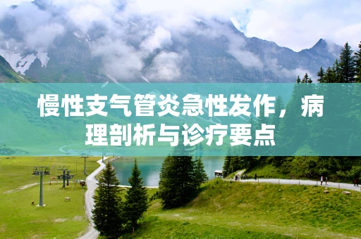 慢性支气管炎急性发作，病理剖析与诊疗要点