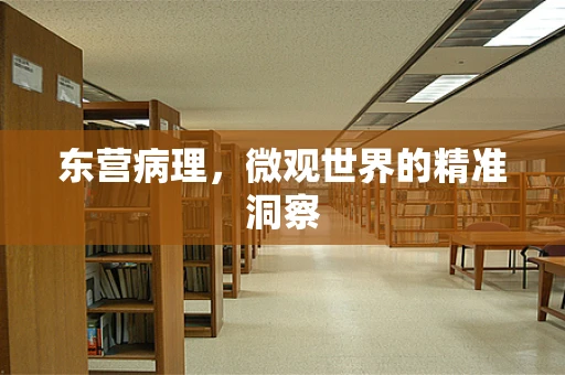 东营病理，微观世界的精准洞察