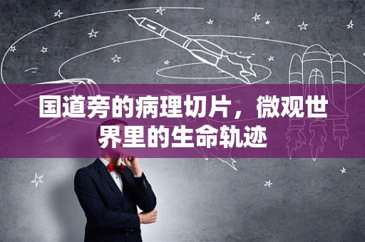 国道旁的病理切片，微观世界里的生命轨迹
