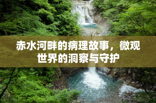 赤水河畔的病理故事，微观世界的洞察与守护
