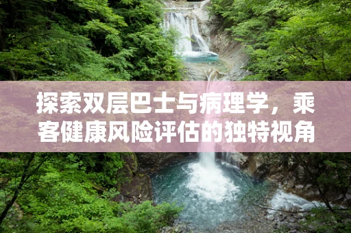 探索双层巴士与病理学，乘客健康风险评估的独特视角