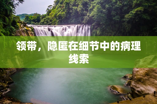 领带，隐匿在细节中的病理线索