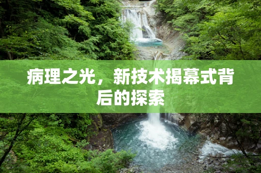 病理之光，新技术揭幕式背后的探索