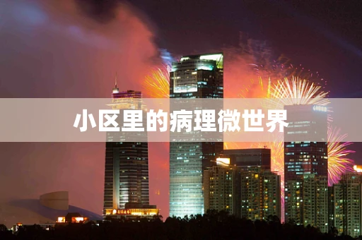 小区里的病理微世界