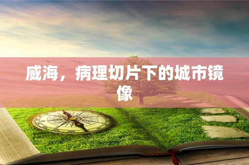 威海，病理切片下的城市镜像