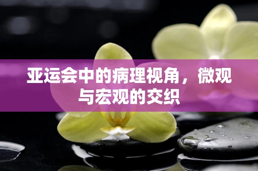 亚运会中的病理视角，微观与宏观的交织