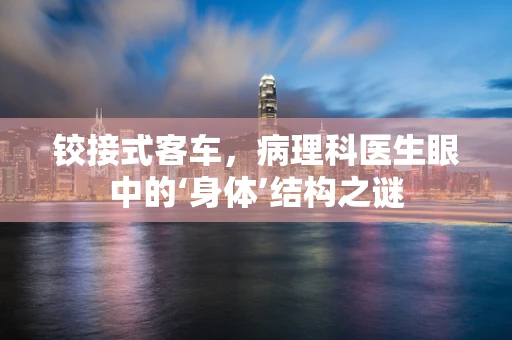 铰接式客车，病理科医生眼中的‘身体’结构之谜