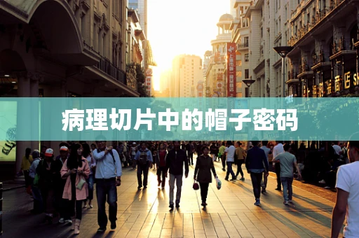 病理切片中的帽子密码