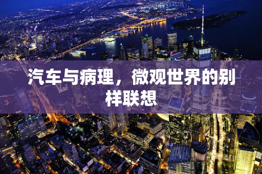 汽车与病理，微观世界的别样联想