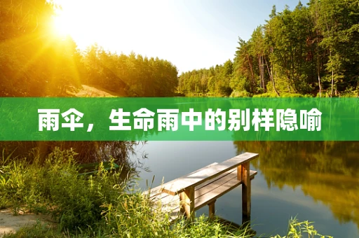 雨伞，生命雨中的别样隐喻