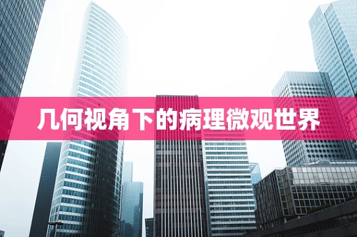 几何视角下的病理微观世界
