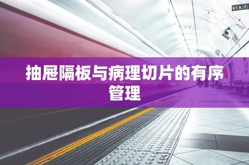 抽屉隔板与病理切片的有序管理