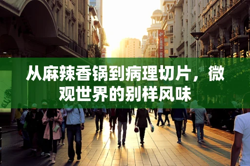 从麻辣香锅到病理切片，微观世界的别样风味
