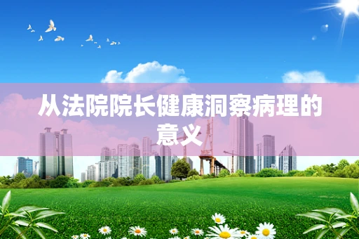 从法院院长健康洞察病理的意义