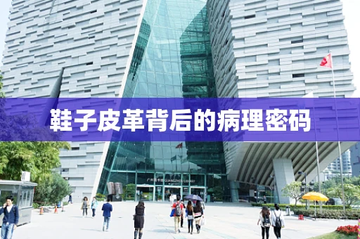 鞋子皮革背后的病理密码