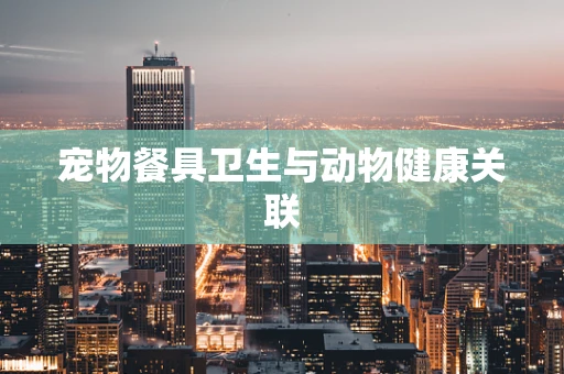 宠物餐具卫生与动物健康关联