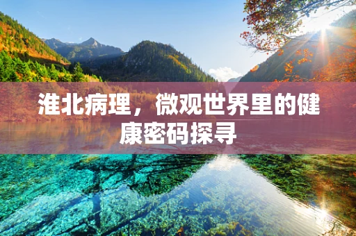 淮北病理，微观世界里的健康密码探寻