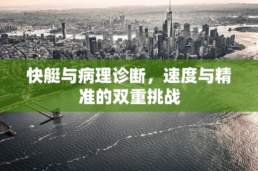快艇与病理诊断，速度与精准的双重挑战