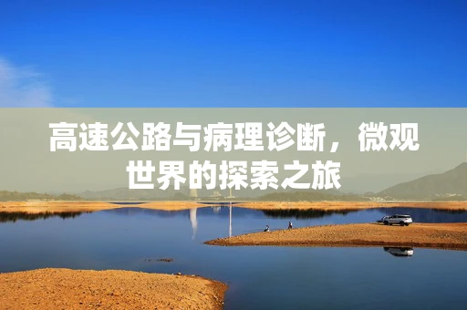 高速公路与病理诊断，微观世界的探索之旅