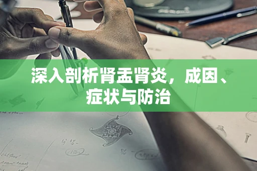 深入剖析肾盂肾炎，成因、症状与防治