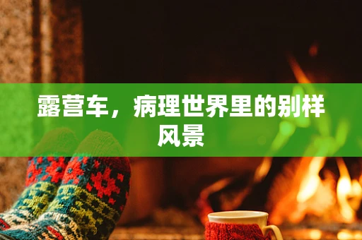 露营车，病理世界里的别样风景