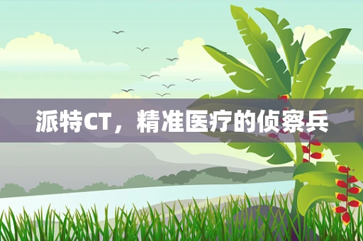 派特CT，精准医疗的侦察兵