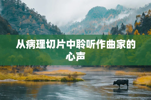 从病理切片中聆听作曲家的心声