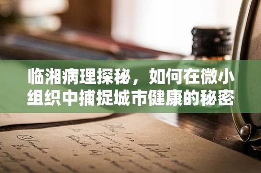 临湘病理探秘，如何在微小组织中捕捉城市健康的秘密？