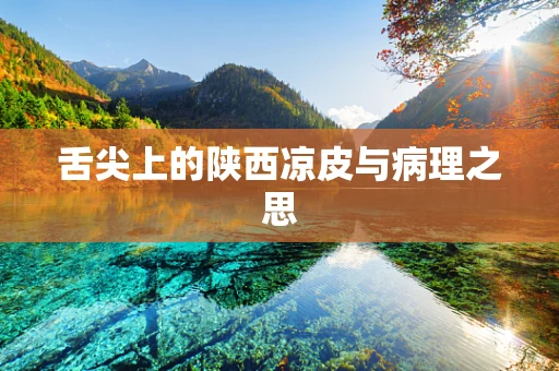 舌尖上的陕西凉皮与病理之思