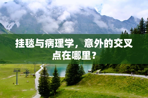 挂毯与病理学，意外的交叉点在哪里？