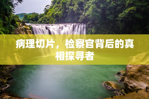 病理切片，检察官背后的真相探寻者
