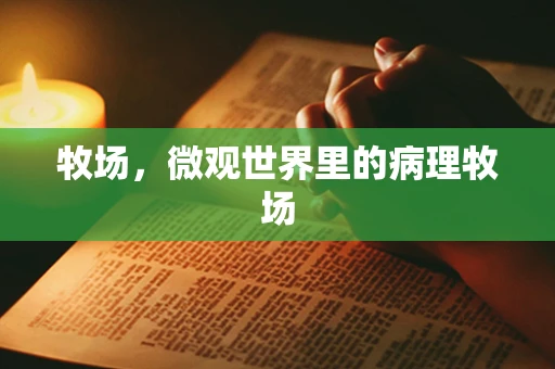 牧场，微观世界里的病理牧场