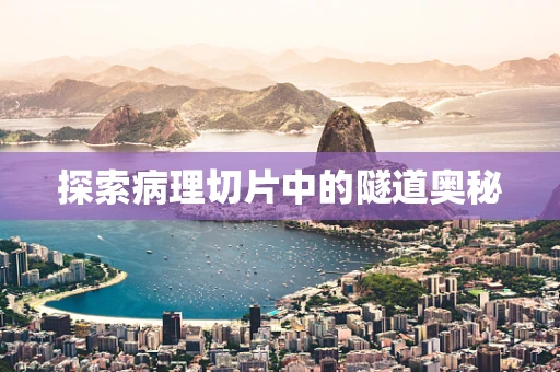 探索病理切片中的隧道奥秘