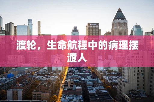 渡轮，生命航程中的病理摆渡人