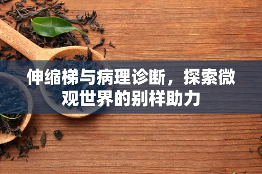 伸缩梯与病理诊断，探索微观世界的别样助力
