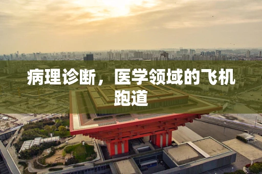 病理诊断，医学领域的飞机跑道