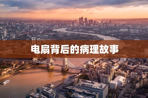 电扇背后的病理故事