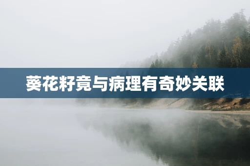 葵花籽竟与病理有奇妙关联