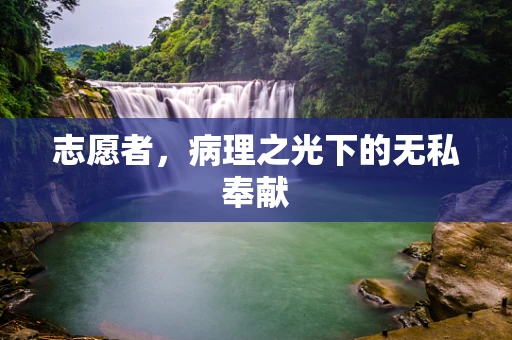 志愿者，病理之光下的无私奉献