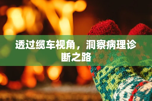 透过缆车视角，洞察病理诊断之路