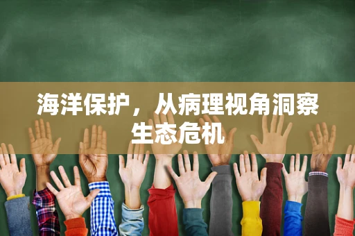 海洋保护，从病理视角洞察生态危机