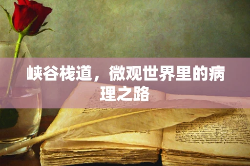 峡谷栈道，微观世界里的病理之路